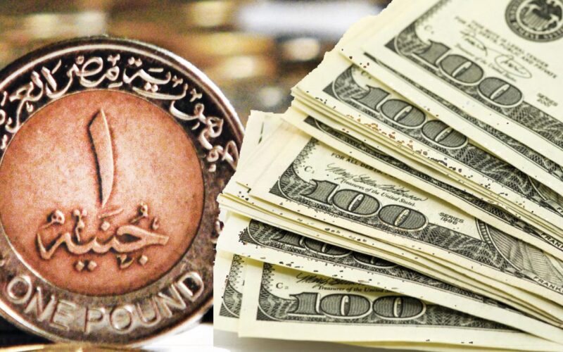 سعر الدولار مقابل الجنيه اليوم