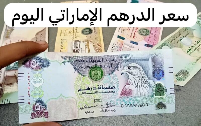 سعر الدرهم مقابل الجنيه