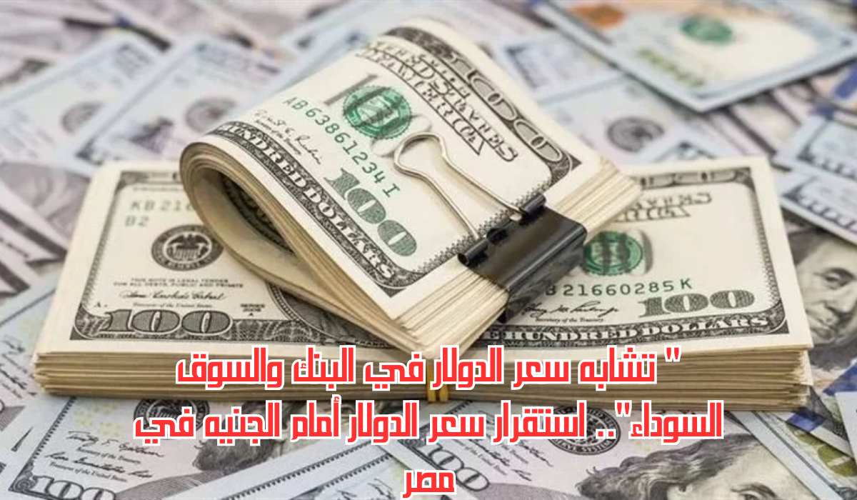 سعر الدولار أمام الجنيه في مصر