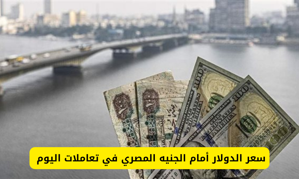 سعر الدولار أمام الجنيه المصري