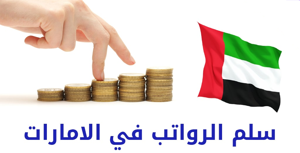 راتب مصمم الجرافيك في الإمارات