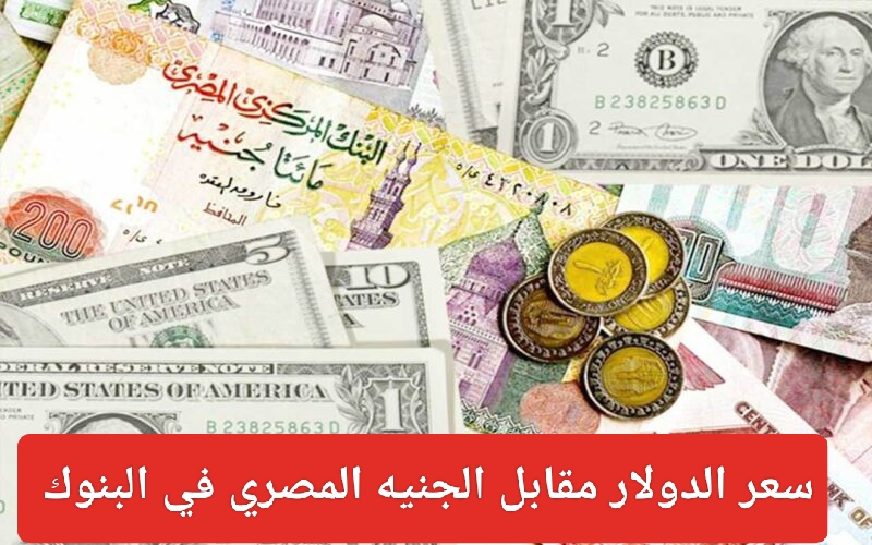 سعر الدولار اليوم في السوق السوداء 2024