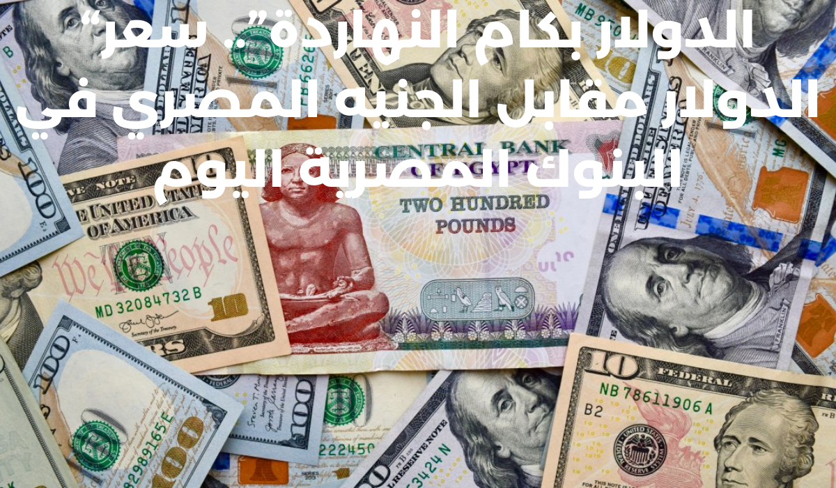 سعر الدولار في مصر اليوم