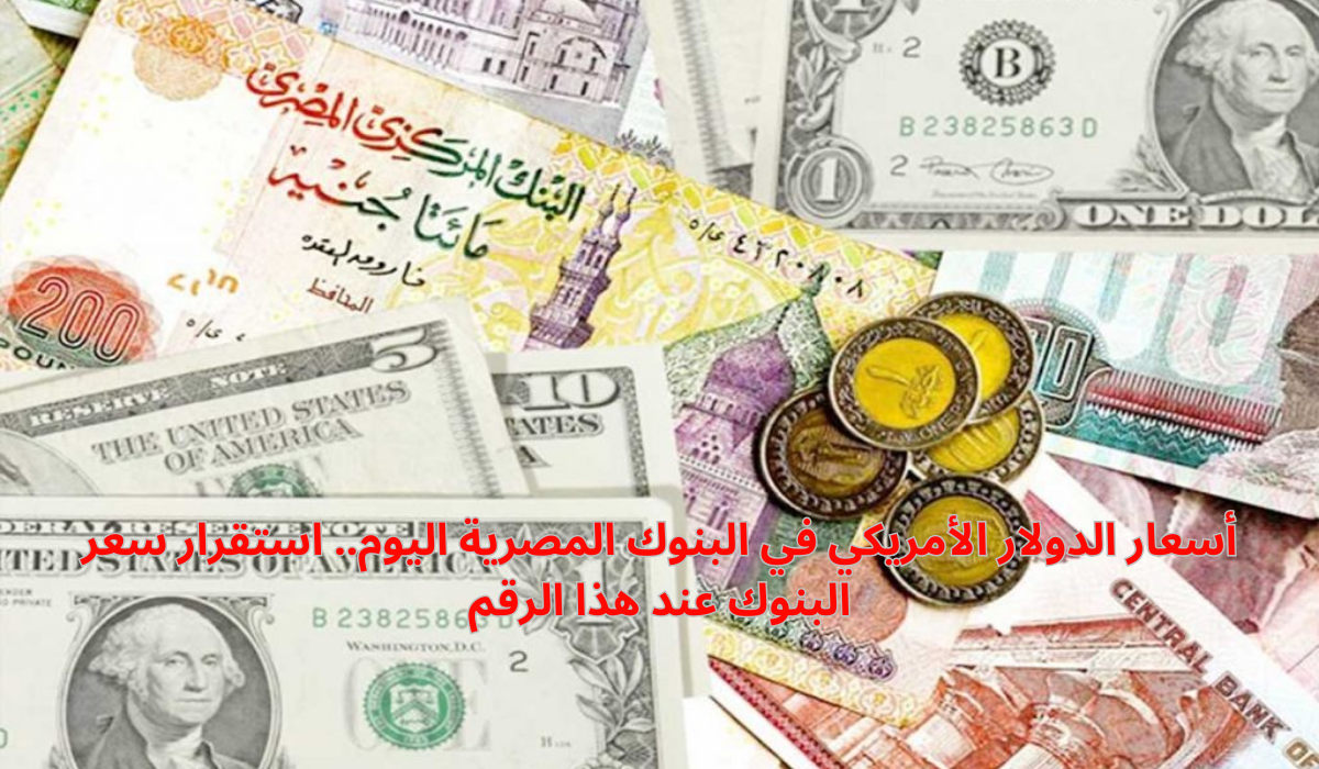 سعر الدولار اليوم