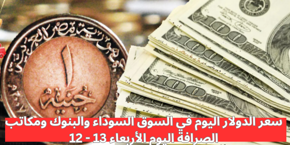 سعر الدولار اليوم مقابل الجنيه المصري