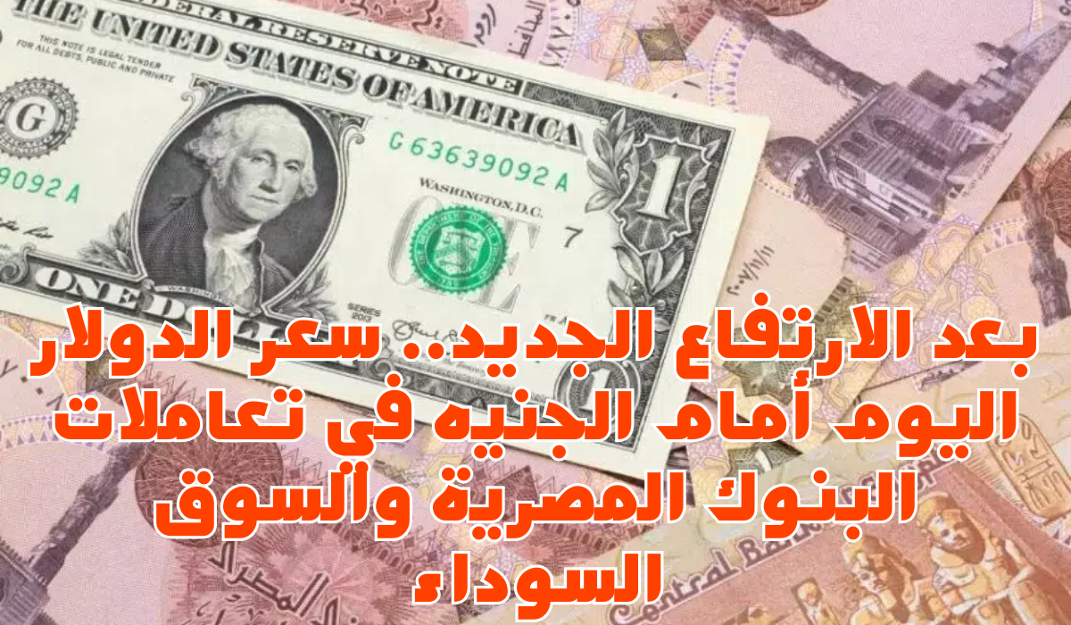 سعر الدولار اليوم أمام الجنيه