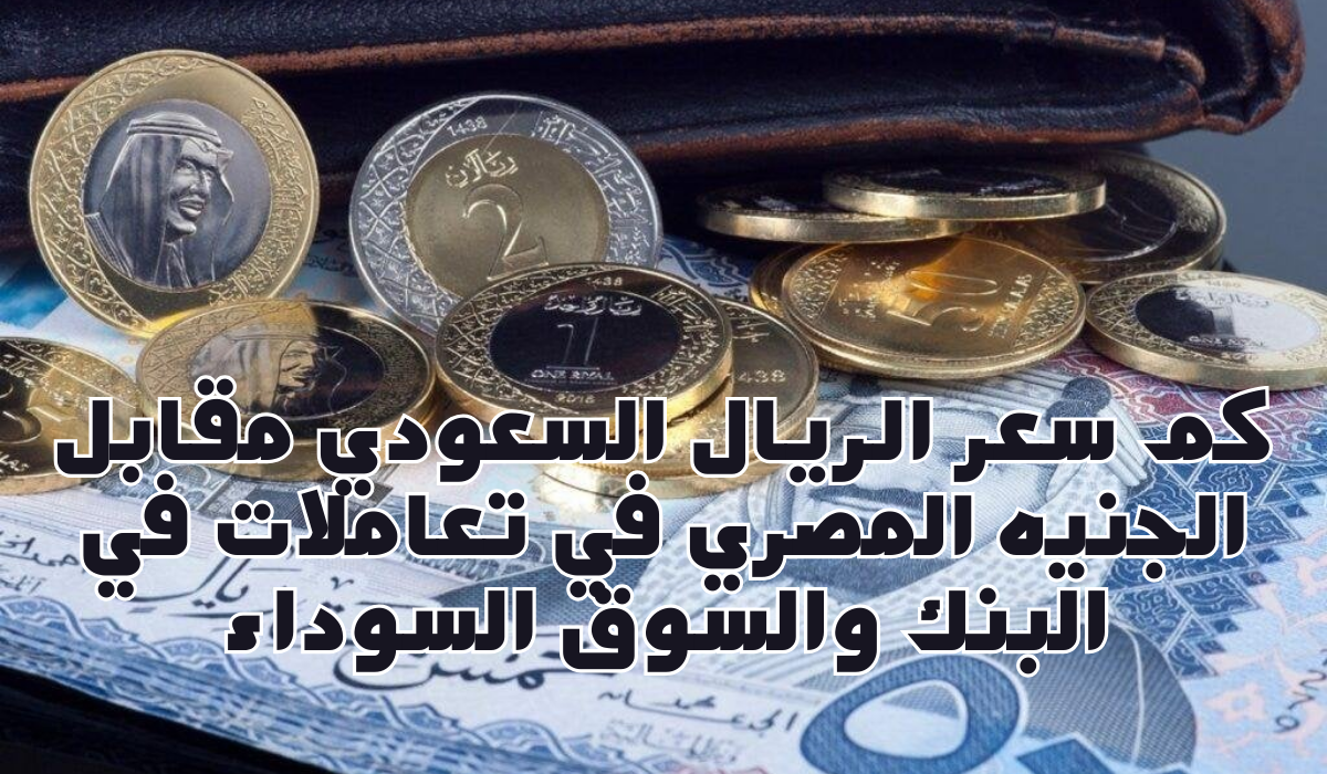 سعر الريال السعودي مقابل الجنيه