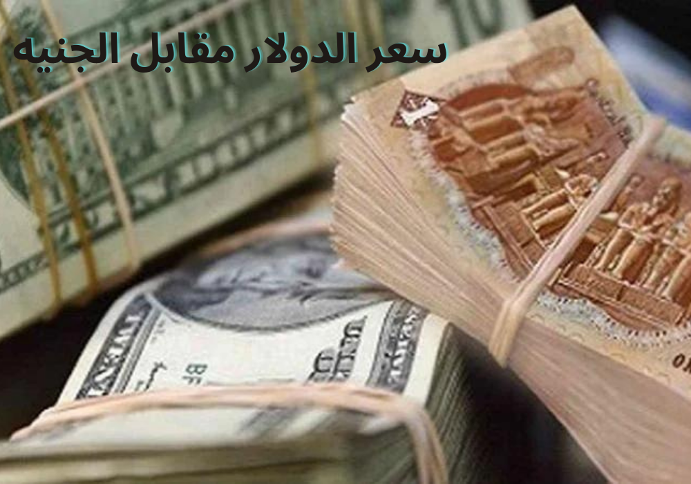 سعر الدولار اليوم مقابل الجنيه المصري