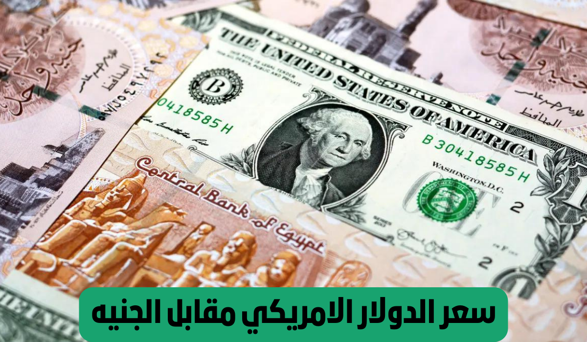 سعر الدولار مقابل الجنيه المصري