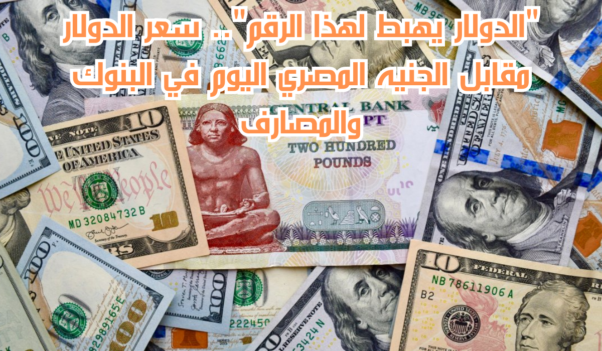 سعر الدولار مقابل الجنيه