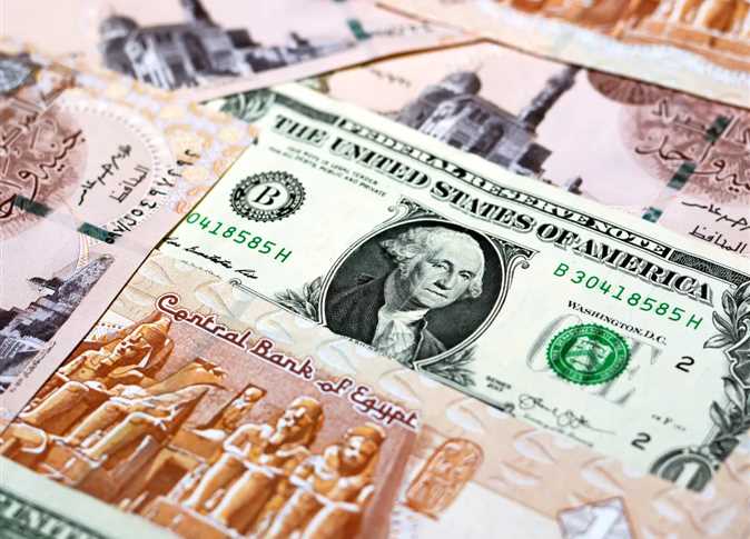 سعر الدولار امام الجنيه المصري