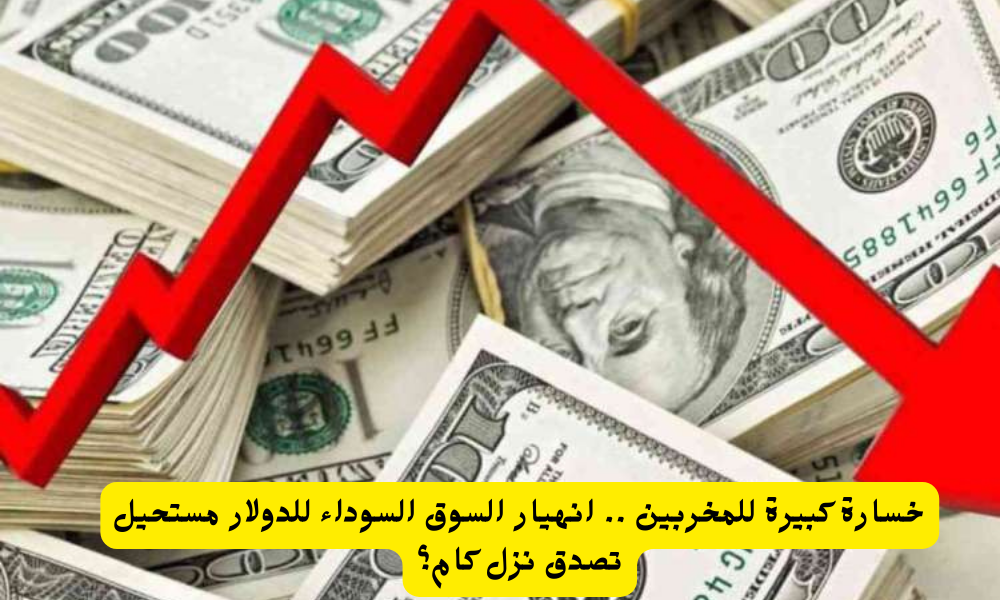 سعر الدولار مقابل الجنيه المصري في السوق السوداء