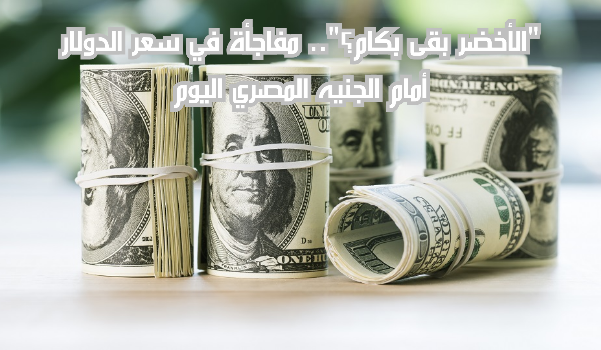 سعر الدولار أمام الجنيه