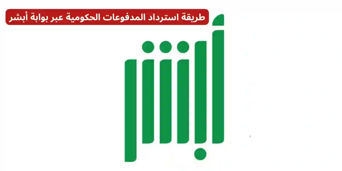 المدفوعات الحكومية