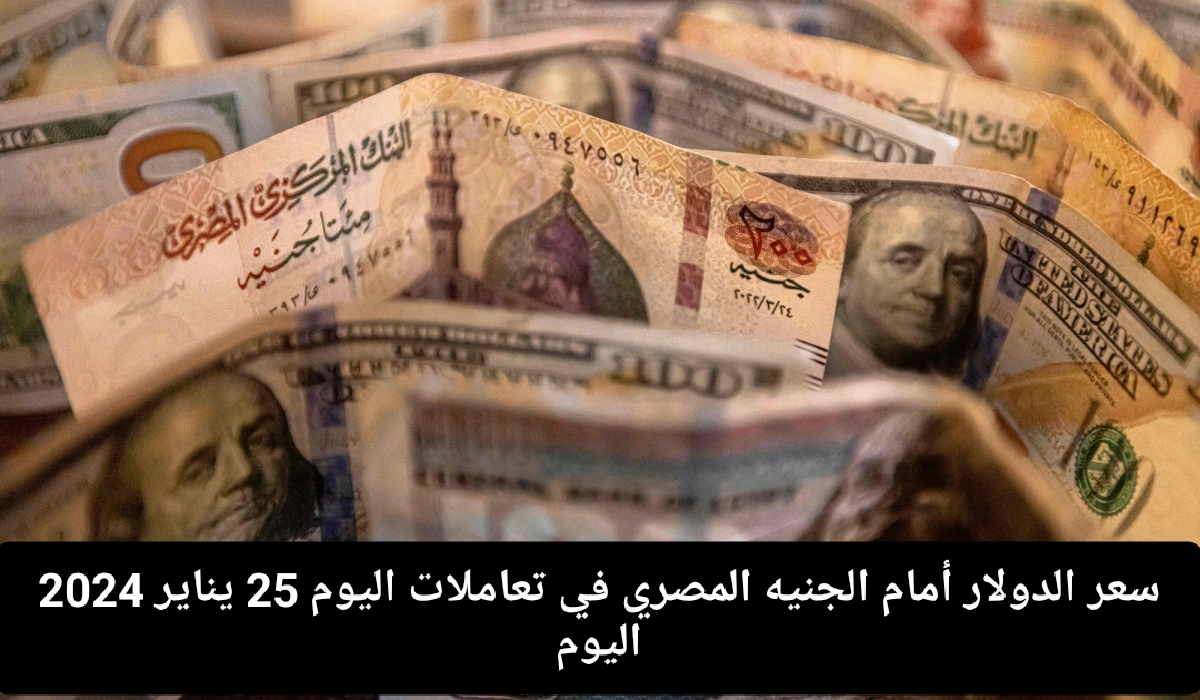 سعر الدولار أمام الجنيه المصري اليوم 