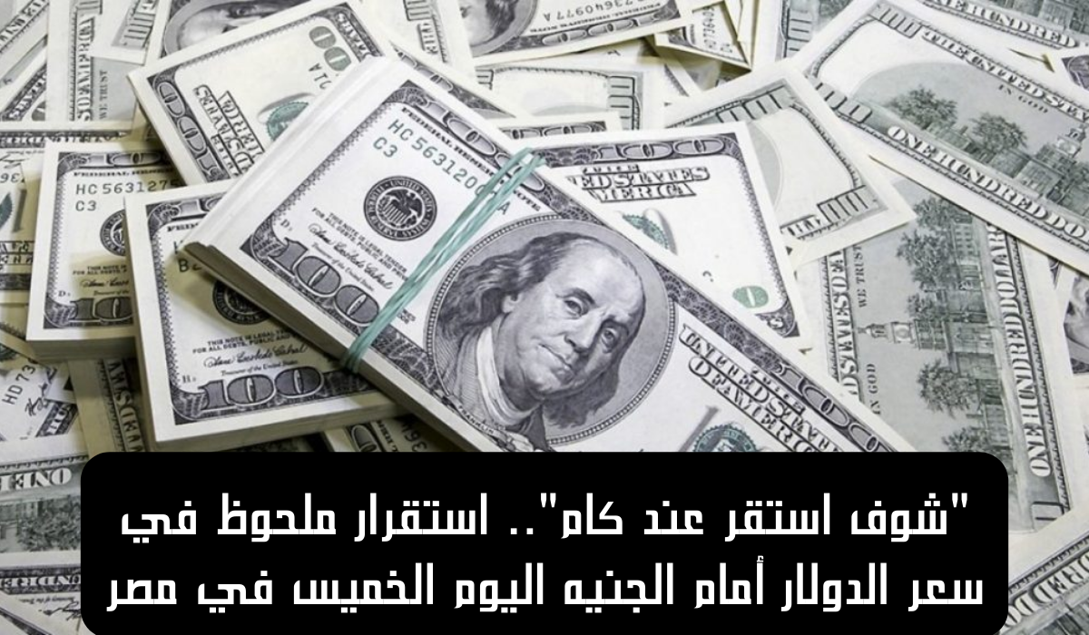 سعر الدولار أمام الجنيه اليوم