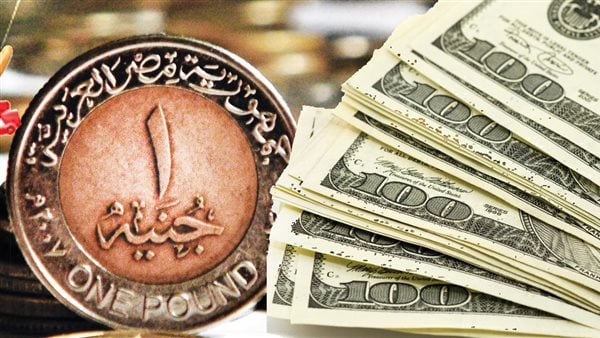 سعر الدولار مقابل الجنيه المصري 