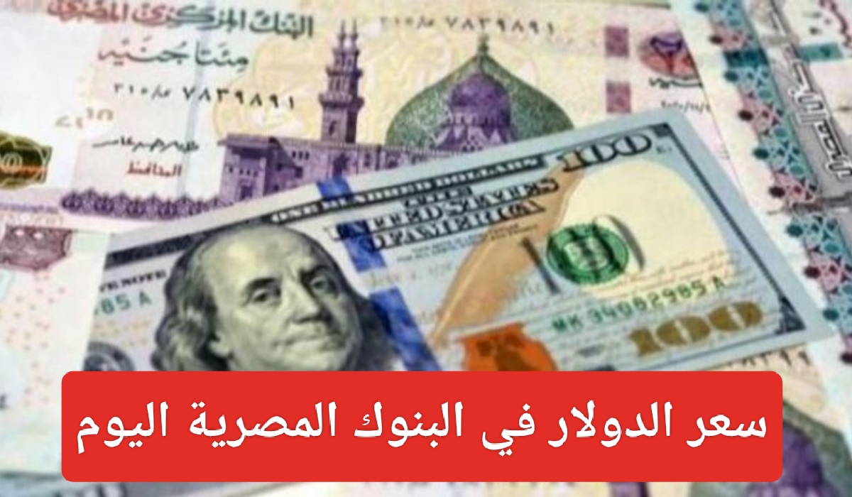 سعر الدولار في البنوك المصرية اليوم