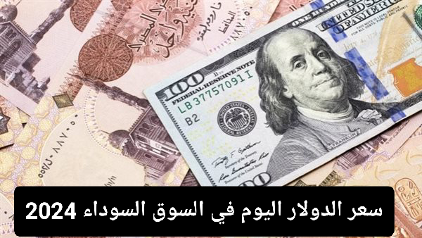 سعر الدولار في البنوك المصرية اليوم