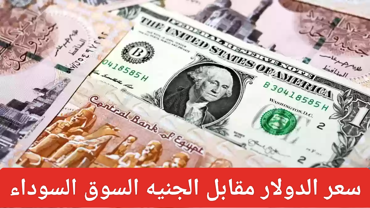 سعر الدولار مقابل الجنيه السوق السوداء