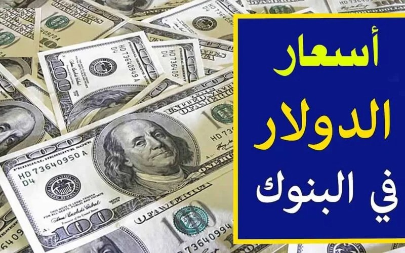 سعر الصرف الدولار مقابل الجنيه المصري