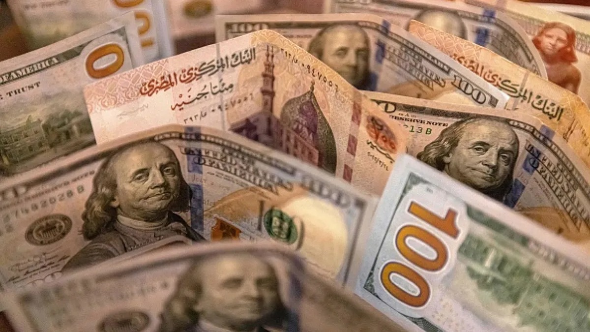 سعر الدولار مقابل الجنيه المصري اليوم